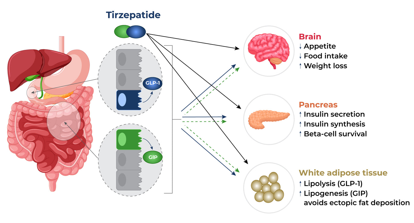 TIRZEPATIDE