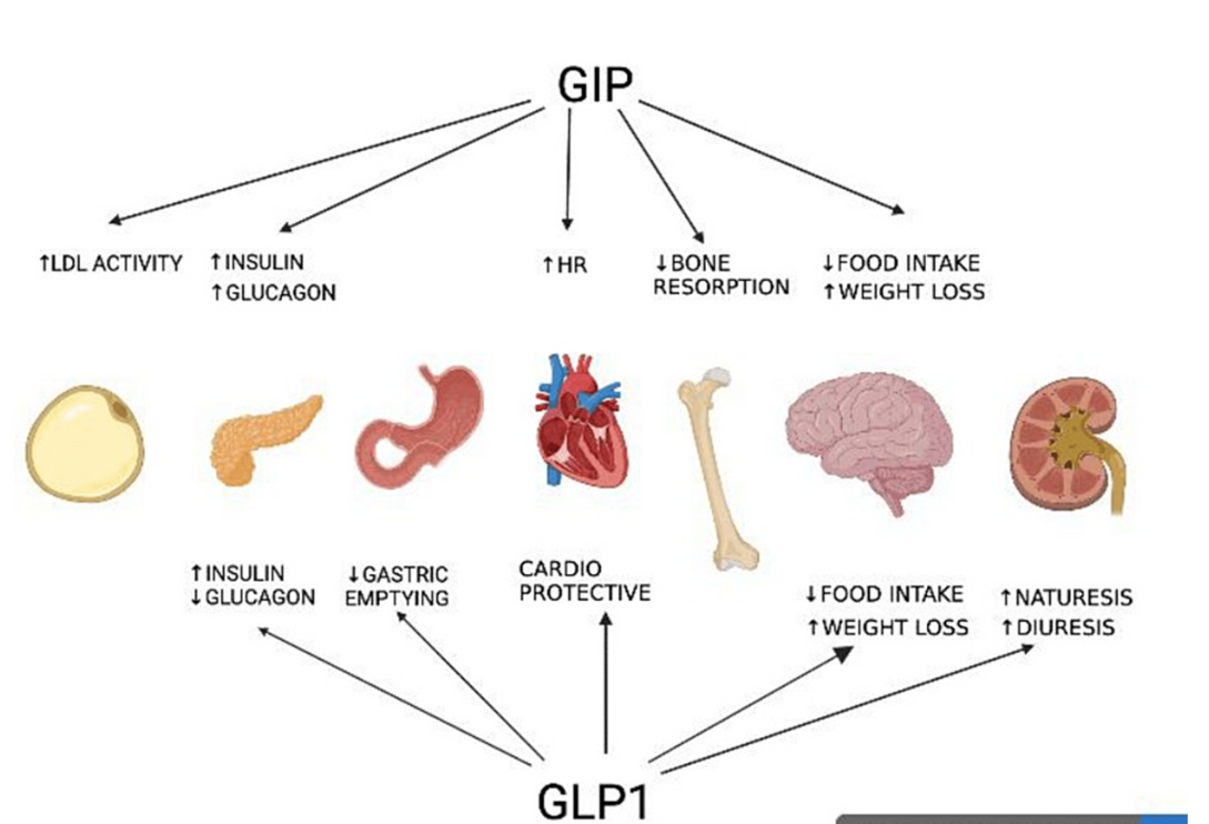 TIRZEPATIDE